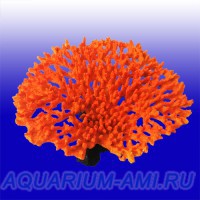 Коралл морской Хиднофора № 304