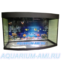 Зелаква аквариум панорама 300литров