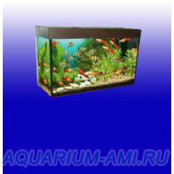AQUAS аквариум 220 литров