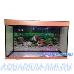 Зеленоградский аквариум прямоугольный 140