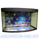Зелаква аквариум панорама 300литров